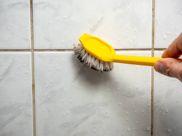 Professional Mold Removal in Franklinton, LA
