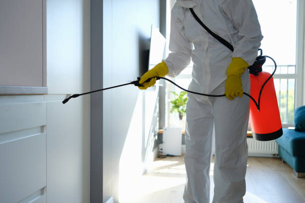 Best Professional Mold Removal  in Franklinton, LA
