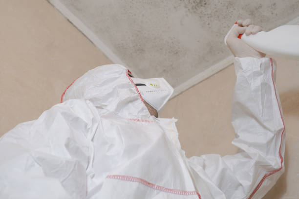 Best Fast Mold Removal  in Franklinton, LA