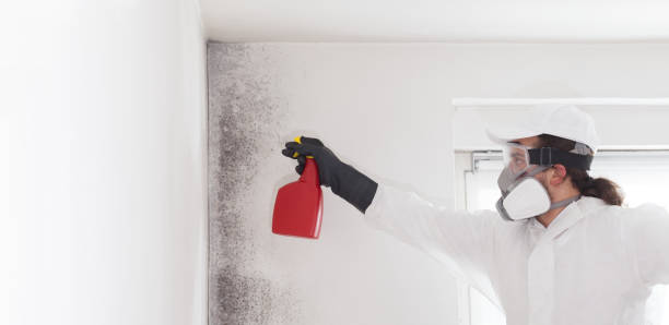 Best Crawl Space Mold Removal  in Franklinton, LA