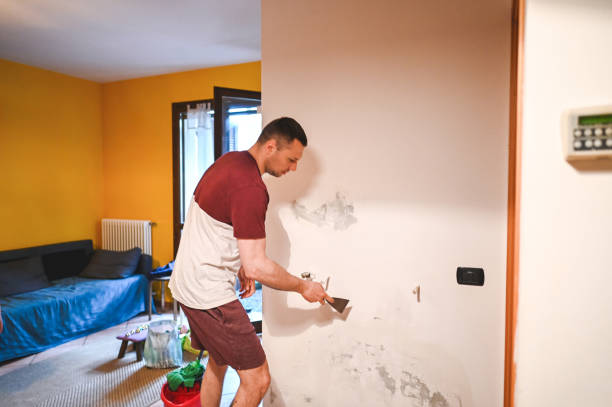 Best Office Mold Removal Services  in Franklinton, LA
