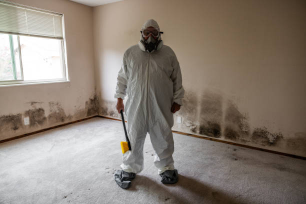 Best Local Mold Removal Service  in Franklinton, LA